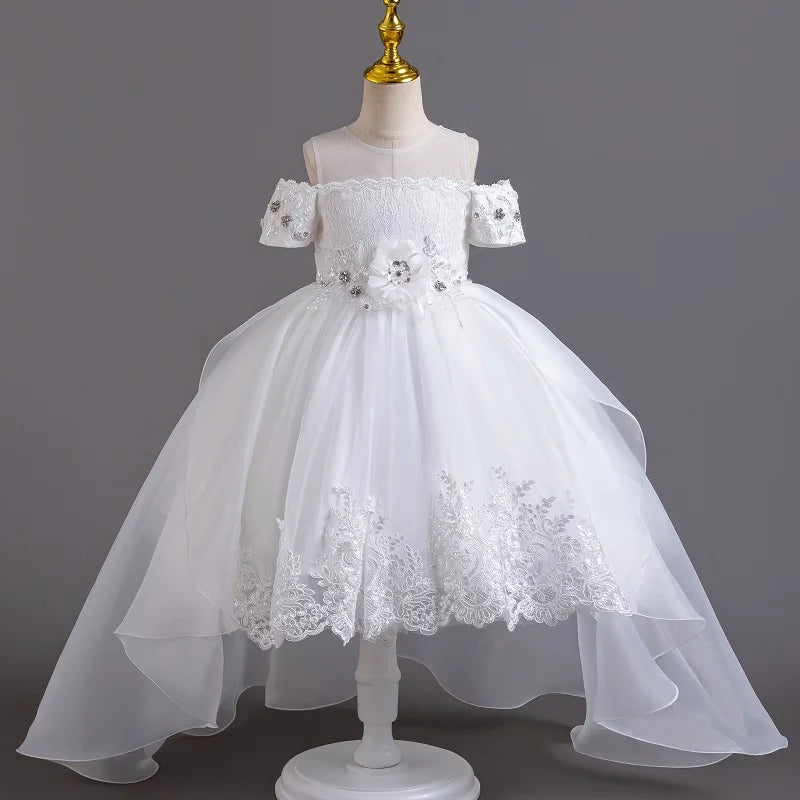 New High quality baby lace princess dress for girl elegant birthday party trailing dress Baby girl's christmas clothes 3-12yrs