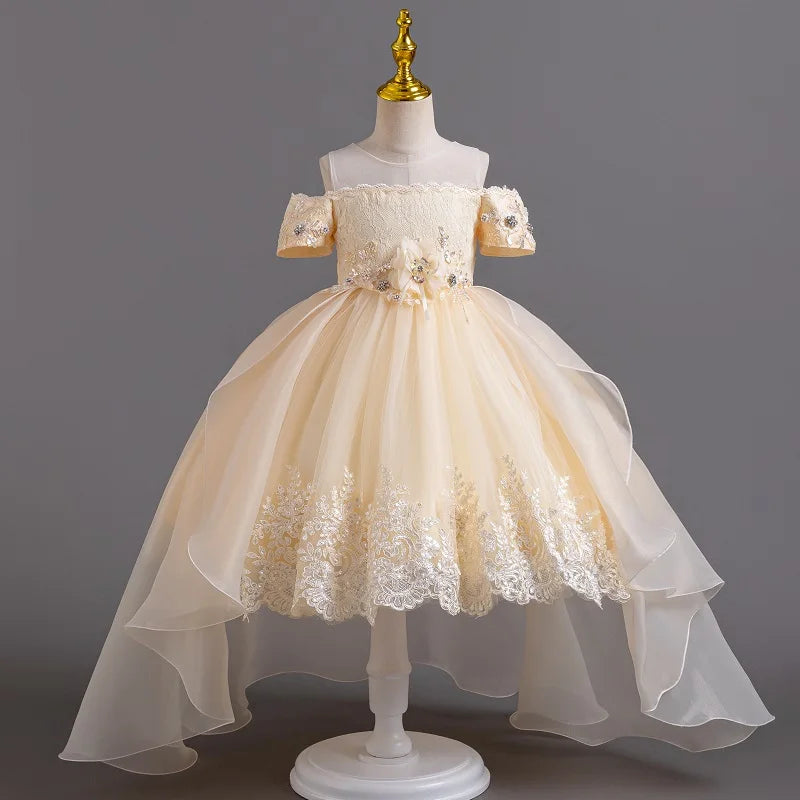 New High quality baby lace princess dress for girl elegant birthday party trailing dress Baby girl's christmas clothes 3-12yrs