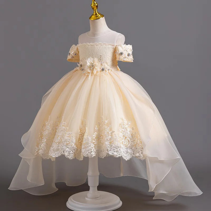 New High quality baby lace princess dress for girl elegant birthday party trailing dress Baby girl's christmas clothes 3-12yrs