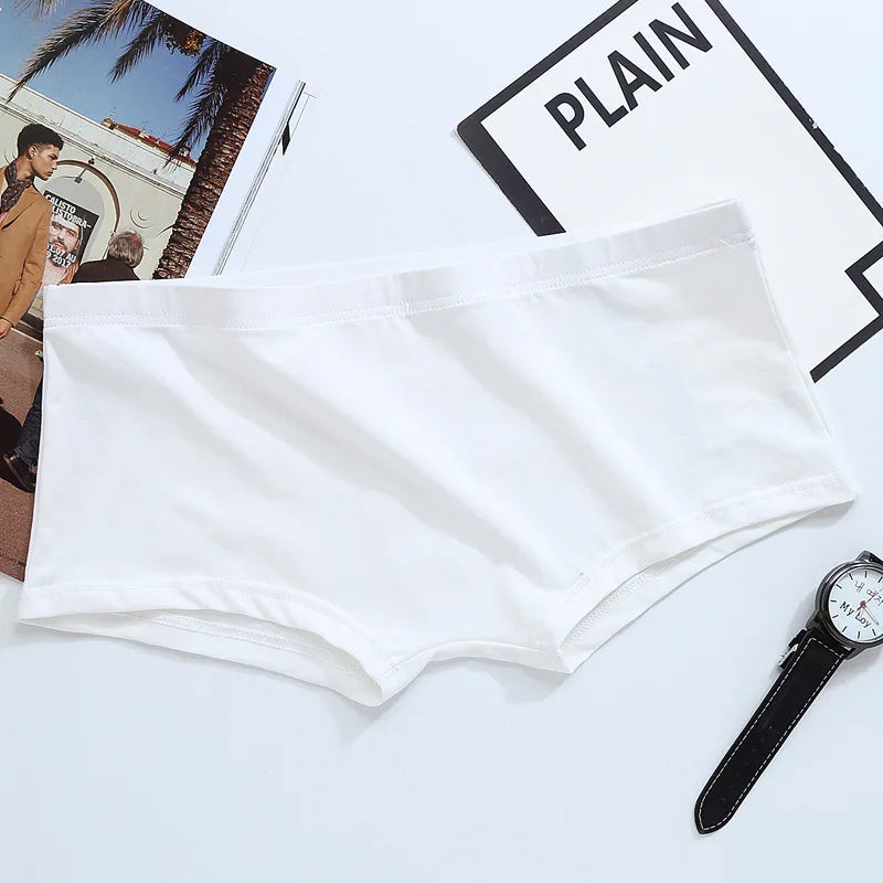 44885424734386|44885424799922|44885424865458|44885424930994