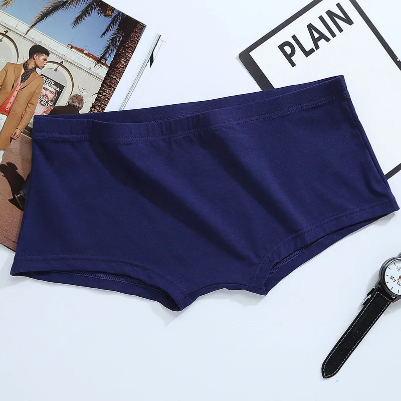 44885425488050|44885425553586|44885425619122|44885425651890