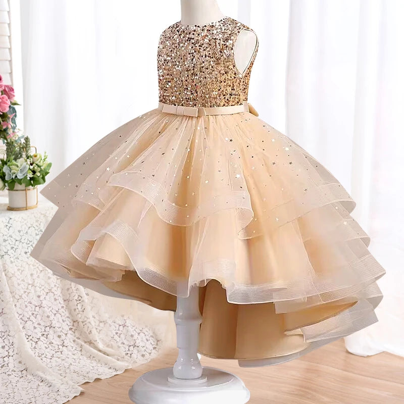 New High quality baby lace princess dress for girl elegant birthday party trailing dress Baby girl's christmas clothes 3-12yrs